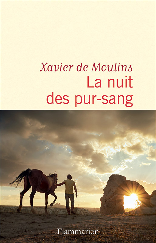 Xavier de Moulins